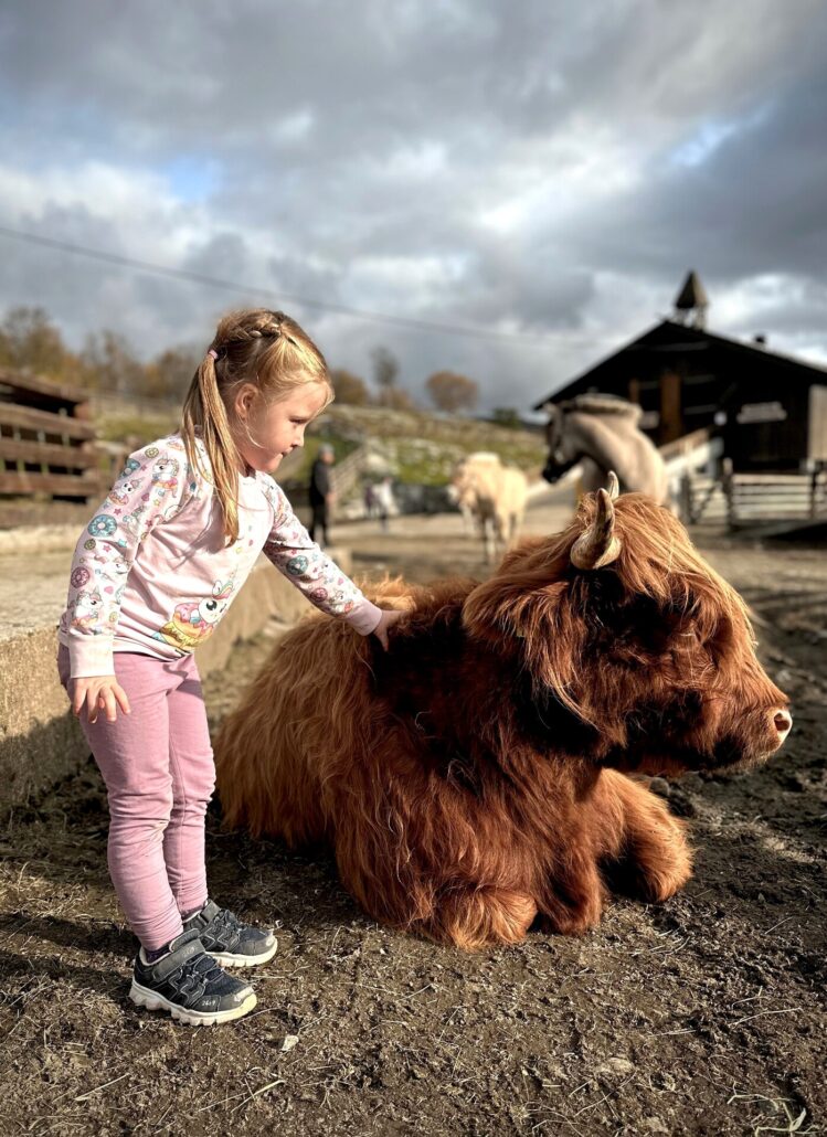 Bilde fra åpen dag på Langedrag.