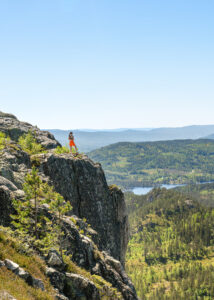Bilde fra tekslehogget i Flesberg