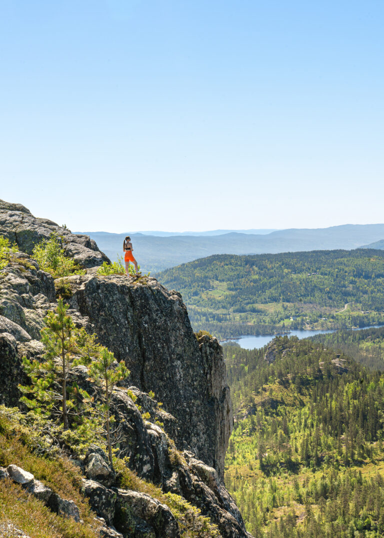 Bilde fra tekslehogget i Flesberg